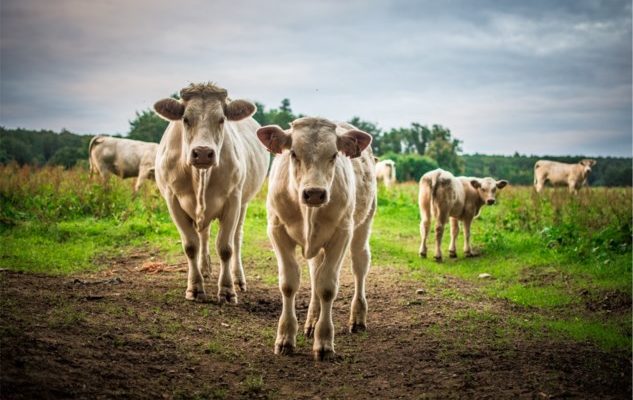 Charte de la ruralité à Neupré